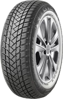 

Зимняя шина GT Radial, WinterPro 2 195/55R16 91H