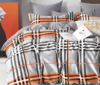 Комплект постельного белья GoodNight Сатин Делюкс В113 евро / В113ev (50x70, с компаньоном) - 