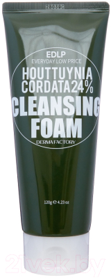 Пенка для умывания Derma Factory Houttuynia Cordata 24% Cleansing Foam (120мл)