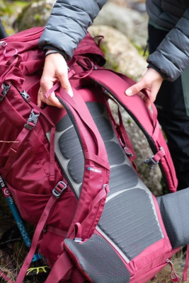 Изображение товара Рюкзак туристический Husky Ribon 60L (бордовый)