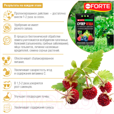 Удобрение Bona Forte Супер ягода. Обогащенное цеолитом и аминокислотами (2кг)