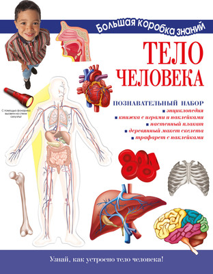 

Энциклопедия, Тело человека. Познавательный набор