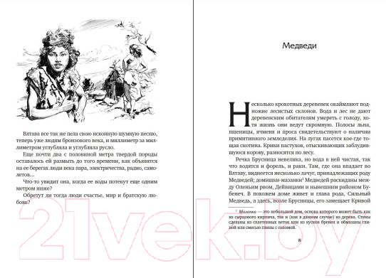 Художественная книга Азбука Бронзовый клад (Шторх Э.) — фото 5