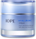 Крем для лица IOPE Hyaluronic Cream Увлажняющий (50мл) - 