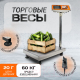 Миниатюра изображения товара Весы платформенные Shtapler PW 60 30x40 / 71057095