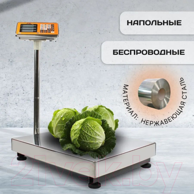 Весы платформенные Shtapler PW 300 40x50 / 71057097