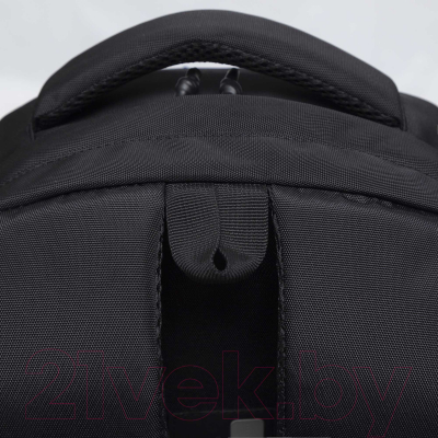 Рюкзак Grizzly RQ-310-2 (черный/красный)