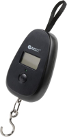Безмен электронный Garin Точный Вес DS1 BL1 / БЛ14165 - 