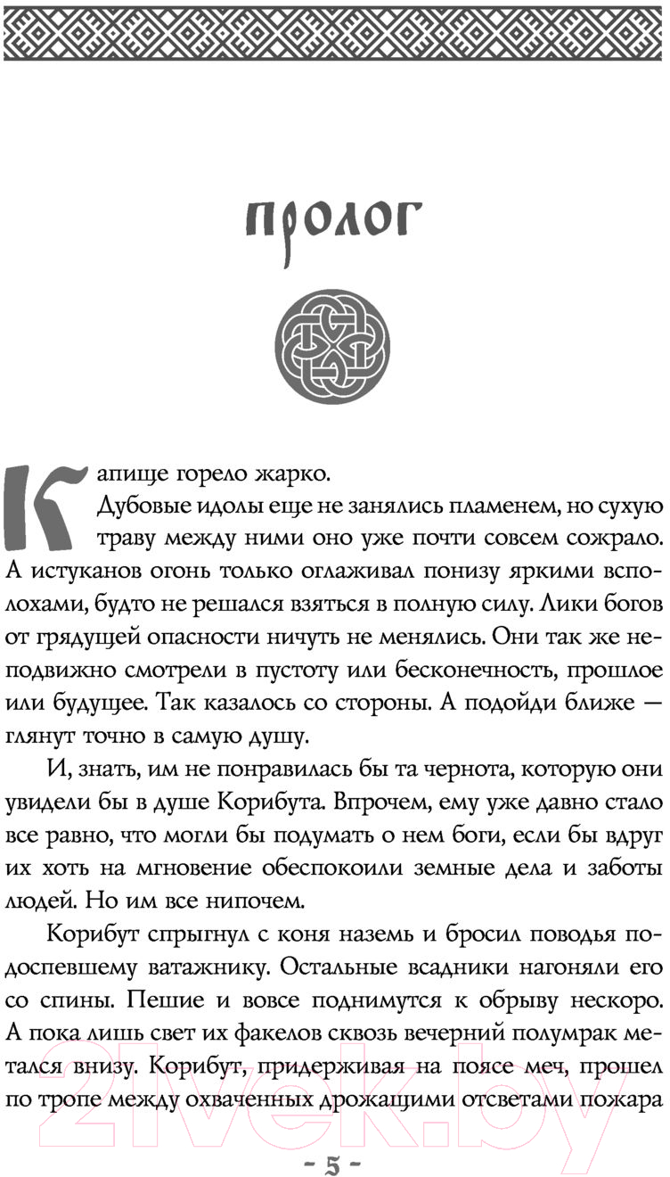 Художественная книга АСТ Воин забвения. Гранитный чертог (Счастная Е.С.) — фото 5