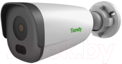 IP-камера Tiandy TC-C32GN I5/E/Y/C/SD/4mm/V4.1