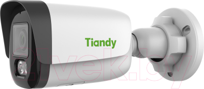 IP-камера Tiandy TC-C34WS I5W/E/Y/2.8mm/V4.2