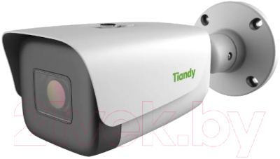 IP-камера Tiandy TC-C35TS I8/A/E/Y/M/H/2.7-13.5mm/V4.0