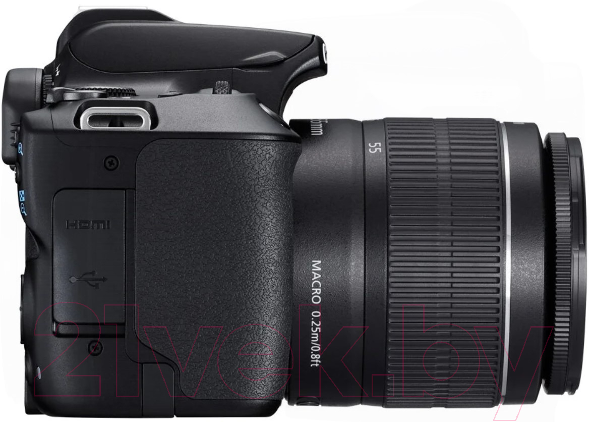 Зеркальный фотоаппарат Canon EOS 250D Kit EF-S 18-55 DC III / 3454C003