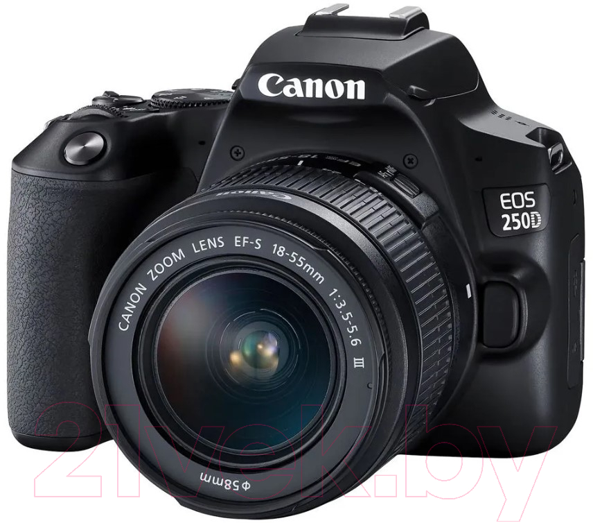 Зеркальный фотоаппарат Canon EOS 250D Kit EF-S 18-55 DC III / 3454C003