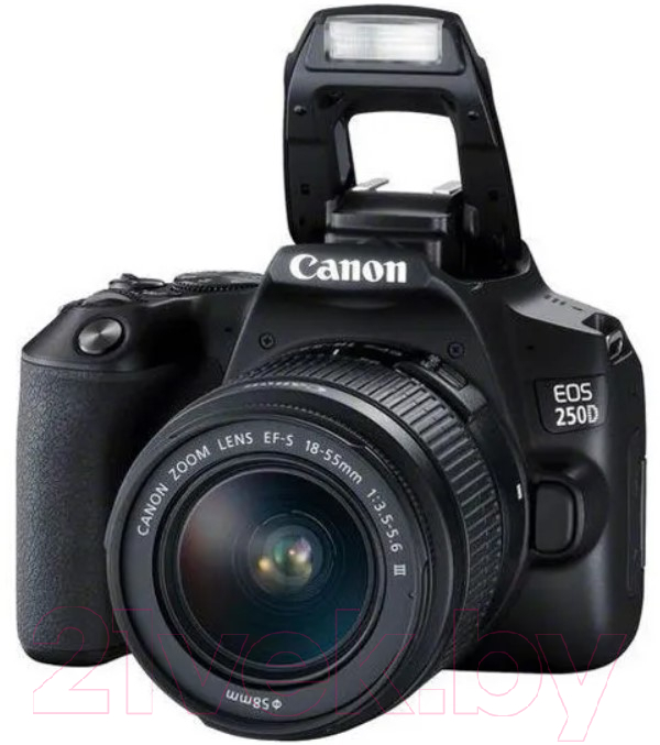 Зеркальный фотоаппарат Canon EOS 250D Kit EF-S 18-55 DC III / 3454C003