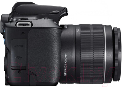 Зеркальный фотоаппарат Canon EOS 250D Kit EF-S 18-55 DC III / 3454C003 (черный)