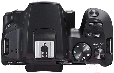 Зеркальный фотоаппарат Canon EOS 250D Kit EF-S 18-55 DC III / 3454C003 (черный)