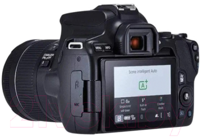 Зеркальный фотоаппарат Canon EOS 250D Kit EF-S 18-55 DC III / 3454C003 (черный)