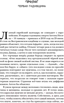 Книга АСТ Создатель. Жизнь и приключения Антона Носика (Визель М.Я.)