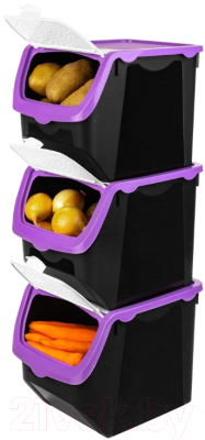 Набор контейнеров El Casa 506 / 640136_3 (3шт, черный/фиолетовый)