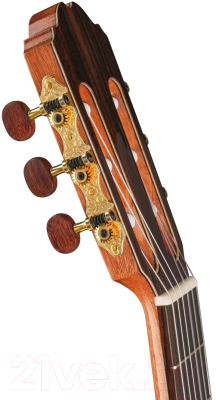 Электроакустическая гитара Kremona F65CW Performer Series Fiesta