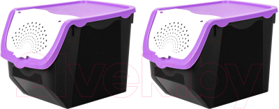 Набор контейнеров El Casa 506 / 640136_2 (2шт, черный/фиолетовый)