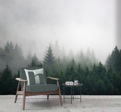 Фотообои листовые Vimala Лес в тумане 4 (270x300)