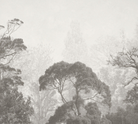 Фотообои листовые Vimala Рисованный лес 2 (270x300) - 