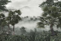 Фотообои листовые Vimala Тропические джунгли (270x300) - 