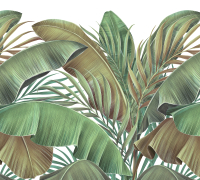 Фотообои листовые Vimala Банановые листья на белом (270x300) - 