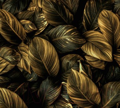Фотообои листовые Vimala Золотые листья 2 (270x300)