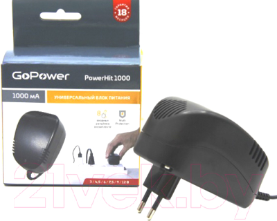 Зарядное устройство сетевое GoPower Powerhit 1000 / 00-00015343