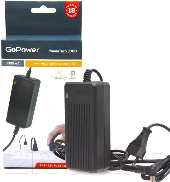 Зарядное устройство сетевое GoPower PowerTech 3000 / 00-00015338