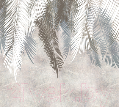 Фотообои листовые Vimala Пальмовые листья 6 (270x300)