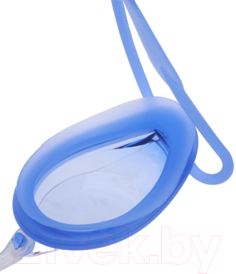 Очки для плавания Atemi R101 (синий)