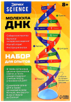 Набор для опытов Эврики Молекула ДНК / 9176778 - 