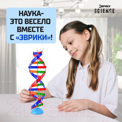 Набор для опытов Эврики Молекула ДНК / 9176778