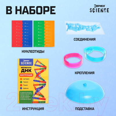 Набор для опытов Эврики Молекула ДНК / 9176778