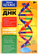 Набор для опытов Эврики Молекула ДНК / 9176778 - 