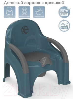 Детский горшок Amarobaby Baby chair / AB221105BCh/18 (бирюзовый)