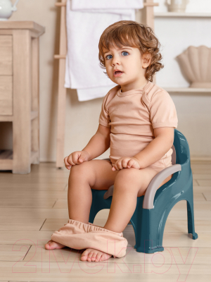 Детский горшок Amarobaby Baby chair / AB221105BCh/18 (бирюзовый)