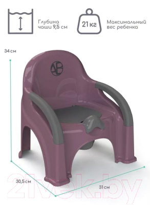 Детский горшок Amarobaby Baby chair / AB221105BCh/22 (фиолетовый)