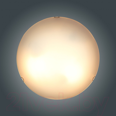 Потолочный светильник Элетех Бриз 400 НПБ 06-3х60 М65 / 1005206051 (матовый белый)