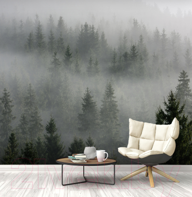 Фотообои листовые Vimala Лес в тумане 6 (270x400)