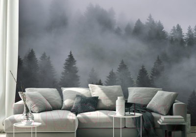 Фотообои листовые Vimala Лес в тумане 7 (270x400)