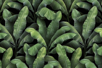 Фотообои листовые Vimala Листья патерн (270x400) - 
