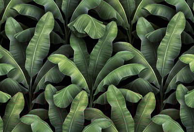 Фотообои листовые Vimala Листья патерн (270x400)