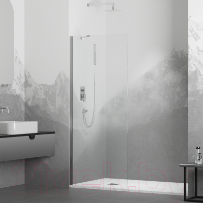 Изображение товара Душевая стенка RGW WA-102 / 351010210-11