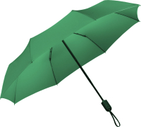 Зонт складной Colorissimo Cambridge / US20GR (зеленый) - 