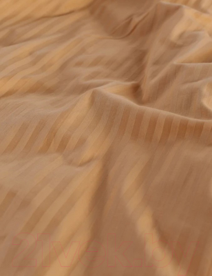 Изображение товара Комплект постельного белья GoodNight Страйп-сатин Дуэт / GNSS4050almond (50x70, миндаль)